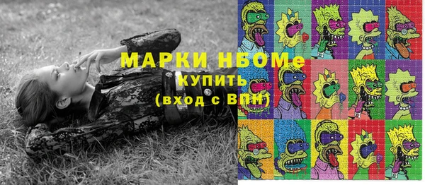 ПСИЛОЦИБИНОВЫЕ ГРИБЫ Верея